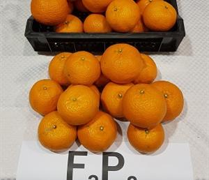 Fruta F3P8